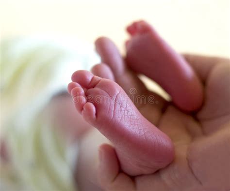 Baby Legs Stock Image Image Of Newborn Delicate Care 14337623