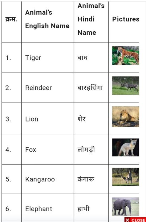 Top 152 Animals Name And Pictures In Hindi