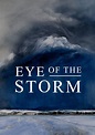 Película Eye of the Storm (2021): Información, críticas y todo lo que ...