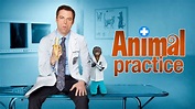 Animal Practice - Série (2012) - SensCritique