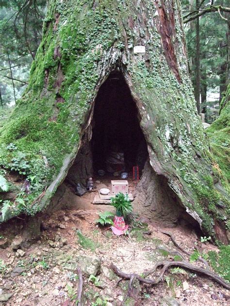 Tree Shrine In Okunoin Cemetary On Mt Koya Al Flickr