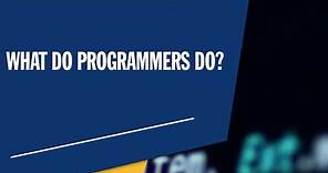 What Does a Programmer Do? The Life of a Programmer