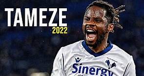 Adrien Tameze | Skills, Passes & Goals 2022