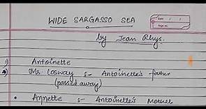 WIDE SARGASSO SEA BY JEAN RHYS //summary explained in hindi//
