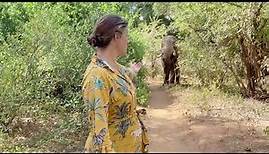 Saba Douglas-Hamilton: In the Footsteps of Elephants | Trailer