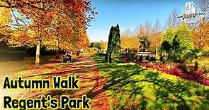Regent's Park London Walk | A Splendid Autumn Stroll in a Royal Park