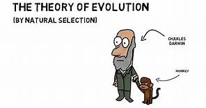 The Theory of Evolution (by Natural Selection) | Cornerstones Education