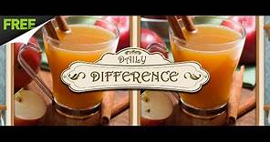 Daily Difference | Hidden Object Game | Free to Play | Gameplay