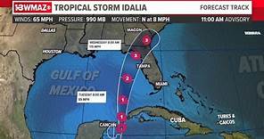 WATCH: Tracking Tropical Storm Idalia See latest forecast, spaghetti models, information