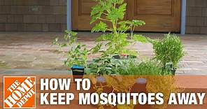 How to Get Rid of Mosquitoes Using Mosquito Control Tips | The Home Depot