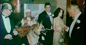 Won Ton Ton The Dog Who Saved Hollywood 1976 trailer