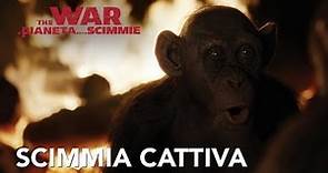 The War - Il Pianeta Delle Scimmie | Clip Bad Ape HD | 20th Century Fox 2017