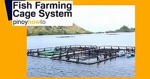 Fish Farming: Fish Farming Cage Systems | Pinoy How To