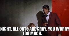 - At night, all cats are gray. - You worry too much.