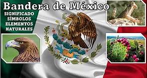 Significado y Símbolos de la Bandera de México y sus Elementos Naturales 🇲🇽 4K