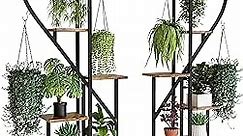 POTEY 6 Tier Metal Plant Stand, Creative Half Heart Shape Ladder Plant Stands for Indoor Plants Multiple, Black Plant Shelf Rack for Home Patio Lawn Garden (2 Pack)