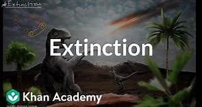 Extinction | Adaptation and environmental change | High school biology | Khan Academy