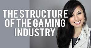 What is the Video Game Industry?