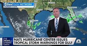 National Hurricane Center issues tropical storm warnings for Gulf of Mexico