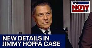 What happened to Jimmy Hoffa? New details emerge in disappearance | LiveNOW from FOX