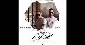 White Noise & D-Anel - Llego a su Final ( Official Audio )