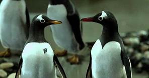 Mr. Popper's Penguins Latest Trailer!