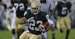 Golden Tate 2010 Season Highlights || Notre Dame Football