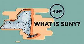 What Is SUNY? | Discover the State University of New York