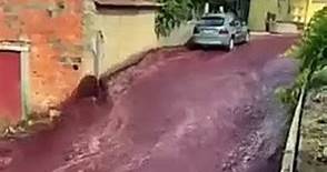 Un río de vino tinto inundó las calles de una ciudad en Portugal