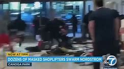 诺德斯特龙 (Nordstrom) 发生的令人震惊的暴徒式砸抢抢劫案被摄像机捕捉到