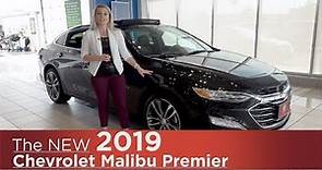 New 2019 Chevrolet Malibu Premier | Mpls, St Cloud, Monticello, Buffalo, Rogers, MN | Review | Walk