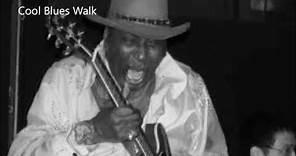 Eddie Clearwater-Cool Blues Walk