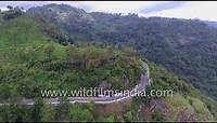 Eastern Ghats shola forests and tea gardens: aerial footage along South India Coromandel coast