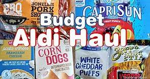 Aldi Grocery Haul On A Budget! With Prices!