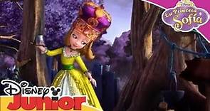 La Princesa Sofía: Momentos Mágicos - Es cuestión de educación | Disney Junior Oficial