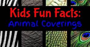 Kids Fun Facts: Animal Coverings (With Writing Prompts)