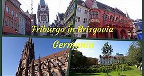 FRIBURGO IN BRISGOVIA ( Germania ) - Due passi in centro città