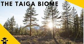 The Taiga-( Boreal Forest)-Biomes of the World