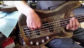 Brett Simons Bass test