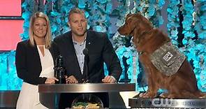 Highlights From The World Dog Awards (The Best Awards Show Ever)