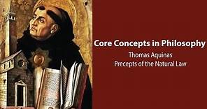 Thomas Aquinas on the Precepts of the Natural Law - Philosophy Core Concepts