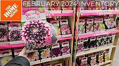 Home Depot Inventory February 2024 Summer Bulbs! Incredible Variety.