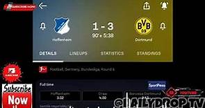 Julian Ryerson Goal 90+5, Hoffenheim vs Borussia Dortmund (1-3) All Goals and Extended Highlights