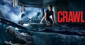Crawl | Hindi Dubbed Full Movie | Kaya Scodelario, Barry Pepper | Crawl Movie Review & Facts