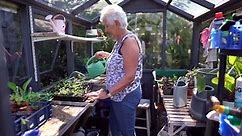 Savvy gran turns overgrown garden into oasis on a budget