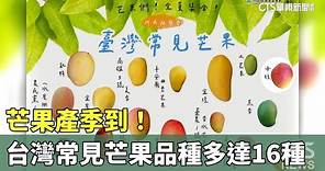 芒果產季到！ 台灣常見芒果品種多達16種｜華視新聞 20230622