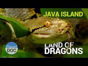 Java Island [Indonesia]. Land of Dragons | Nature - Planet Doc Full Documentaries