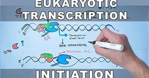 Transcription Initiation in Eukaryotes