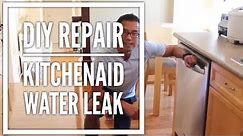 DIY Water Leak fix on Dishwasher (Repair Water Valve)