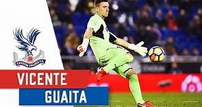 Vicente Guaita | Vital Stats